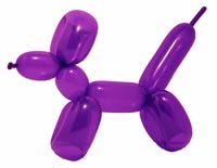 balloon dog